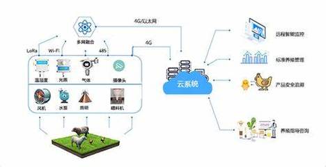 黃辰 以科技賦能智慧農業，做新時代的農業追夢人